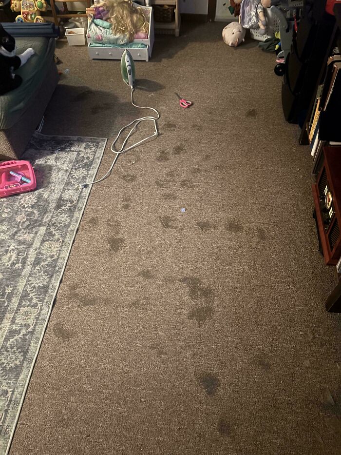 Didn’t Think To Put Something On The Carpet When Ironing Large Banner