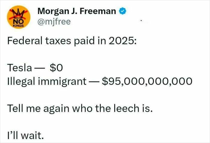 Screenshot of a brutally honest social media post about politics comparing federal taxes paid by Tesla and illegal immigrants.