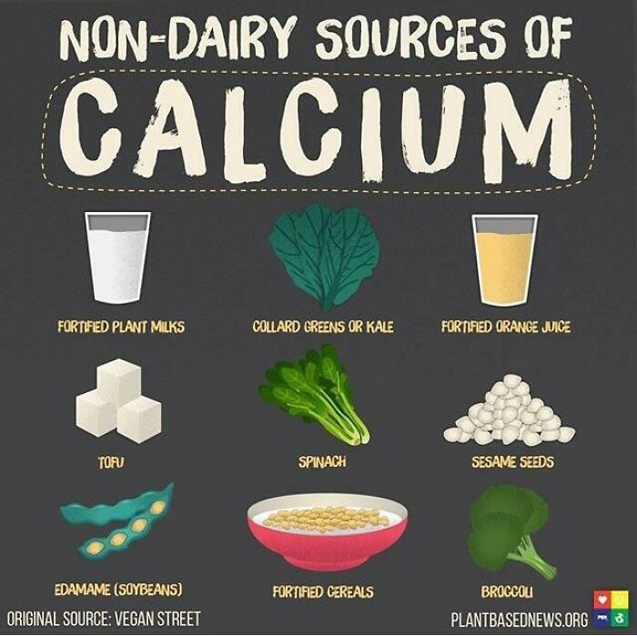 Non-dairy sources of calcium including fortified plant milks, kale, tofu, spinach, sesame seeds, and broccoli for body health insights.
