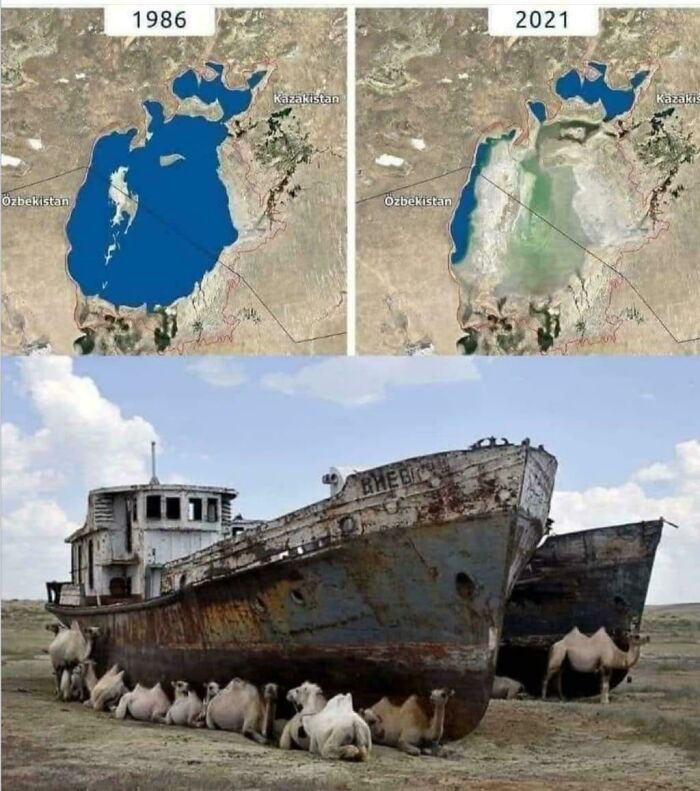 Fascinating pics of the Aral Sea shrinking between 1986 and 2021, with camels resting by a ship for a brain boost.