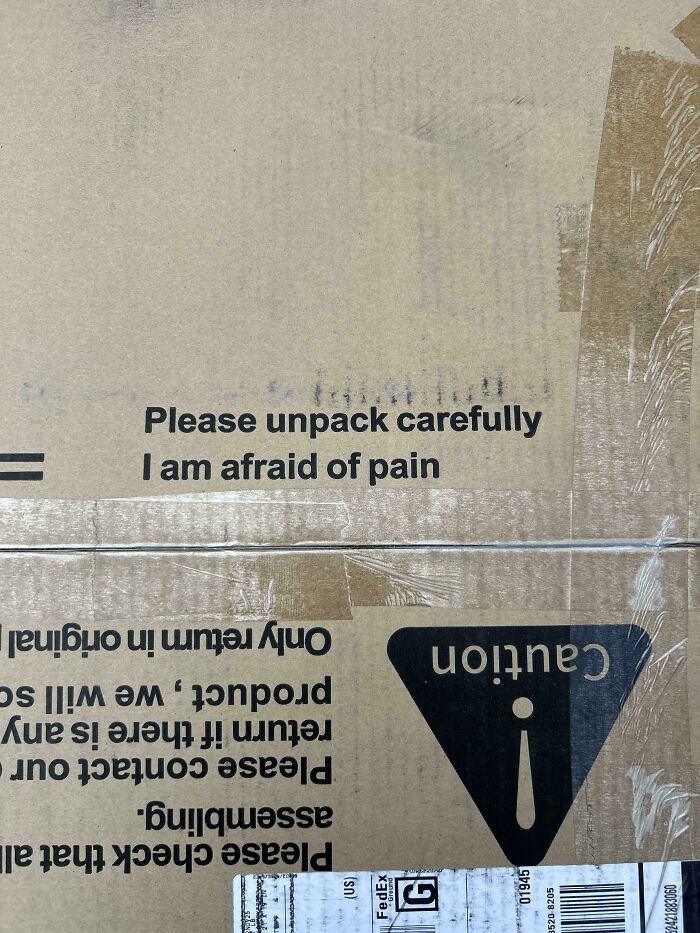 A cardboard box with the humorous warning, 'Please unpack carefully, I am afraid of pain,' a truly baffling image.