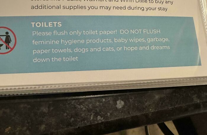 A sign warning not to flush feminine hygiene products, baby wipes, or hope and dreams down the toilet, a baffling image.