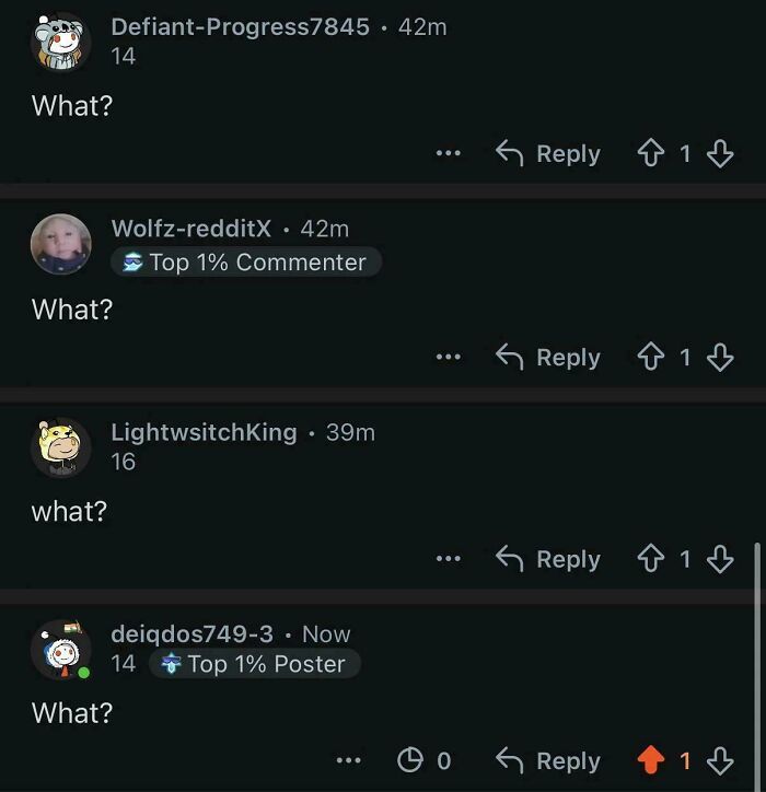 Four Reddit comments asking What?, representing baffling images that internet answered.