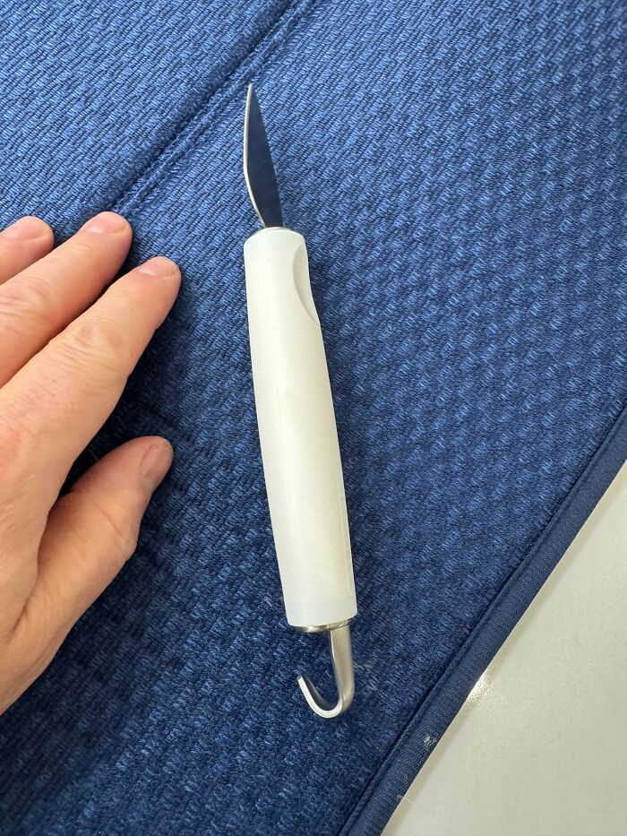 A hand next to a white tool with a small blade and a hook, one of the baffling images.