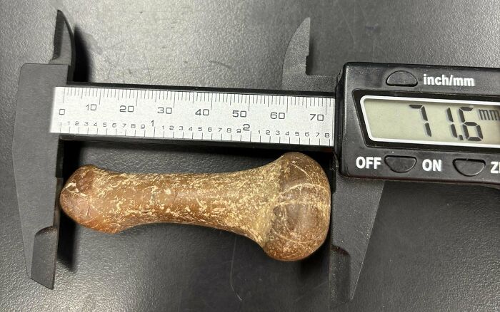 A baffling image of a digital caliper measuring a bone-like object, showing a reading of 71.6 mm.