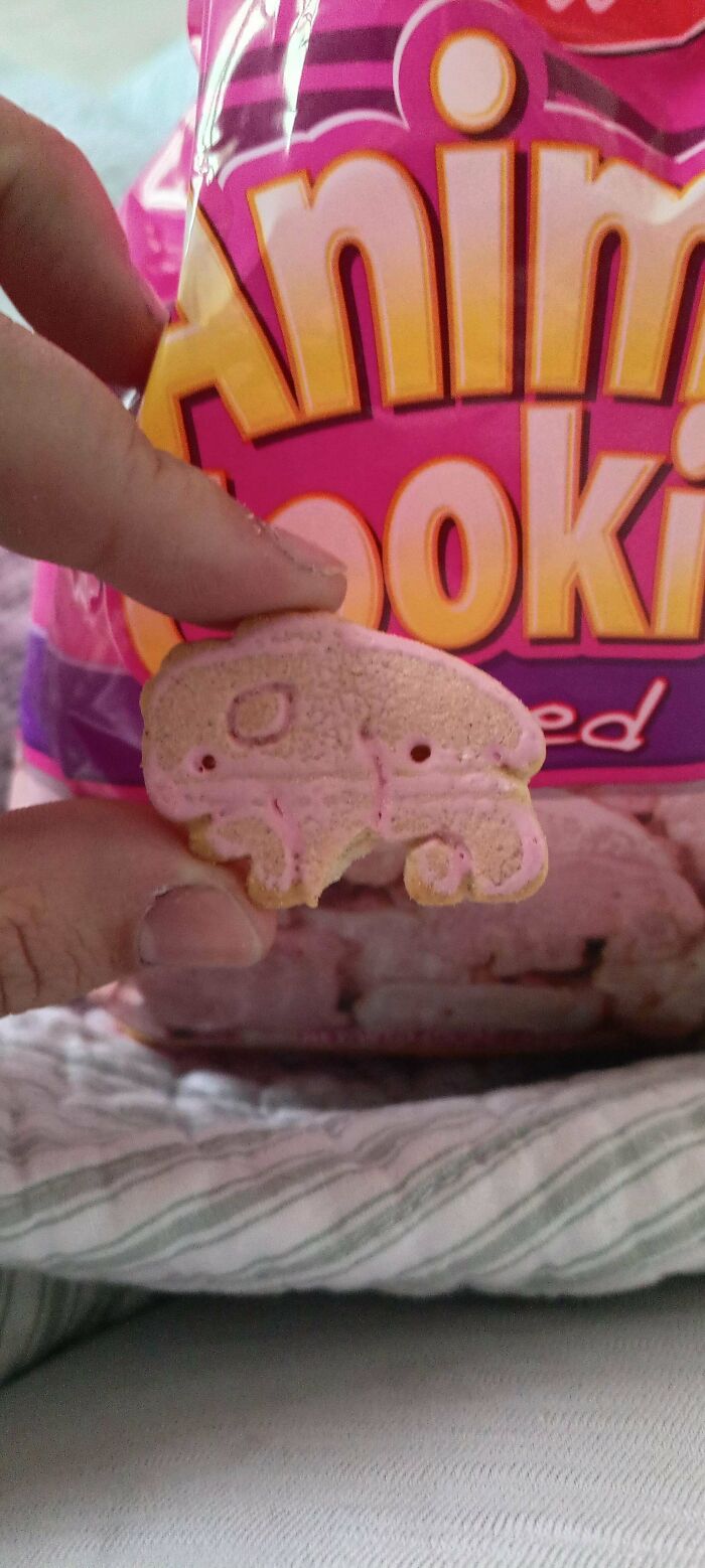 Animal Cookies with a confusingly shaped biscuit