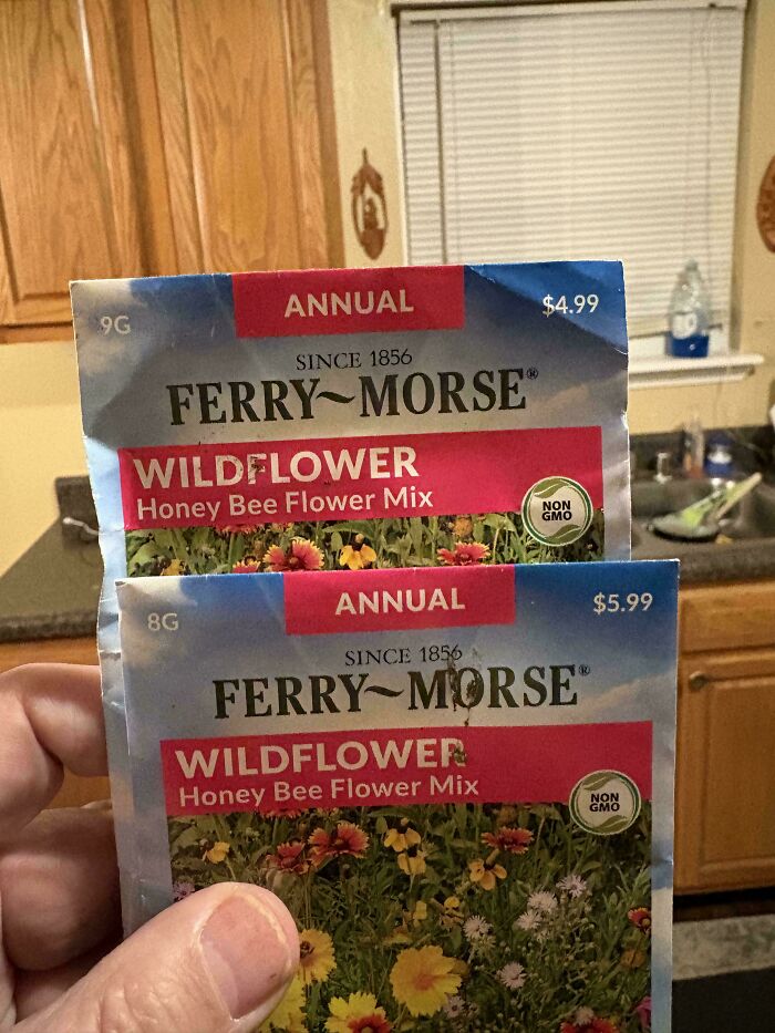 Hand holding two Ferry-Morse wildflower seed packets with different weights and prices