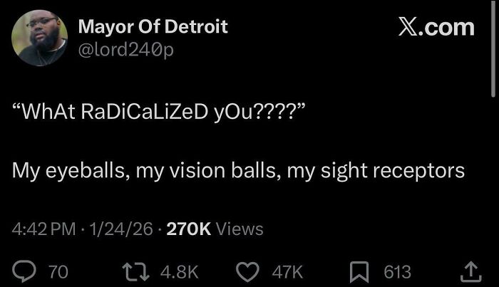 A screenshot of a tweet from Mayor Of Detroit on Black Twitter, replying to "What Radicalized you????" with "My eyeballs, my vision balls, my sight receptors."