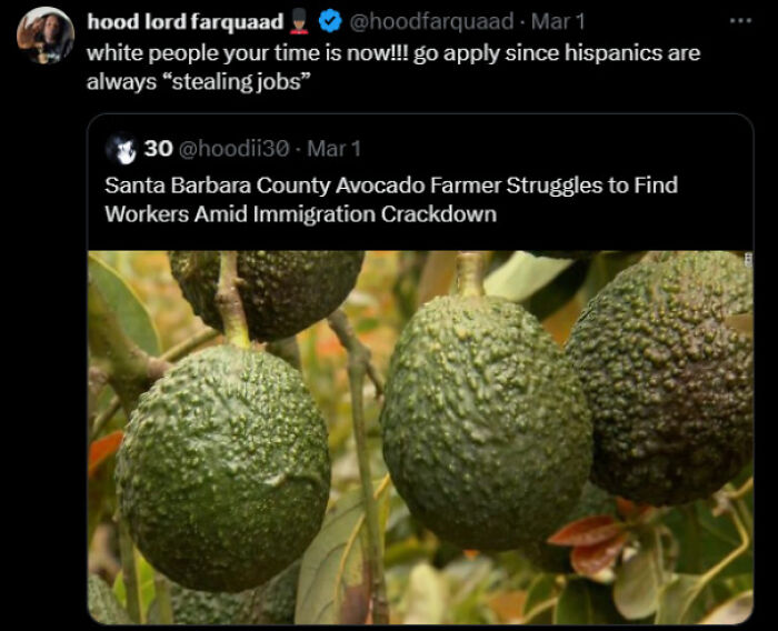Tweet showing avocado farmer struggles due to immigration crackdown, with a sarcastic comment about jobs. Black Twitter insights.
