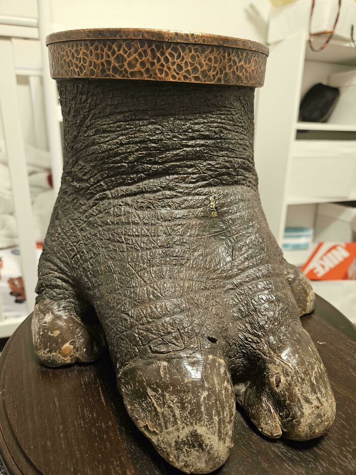 A striking and unusual antique, resembling an animal's foot, displayed as a unique piece of decor.