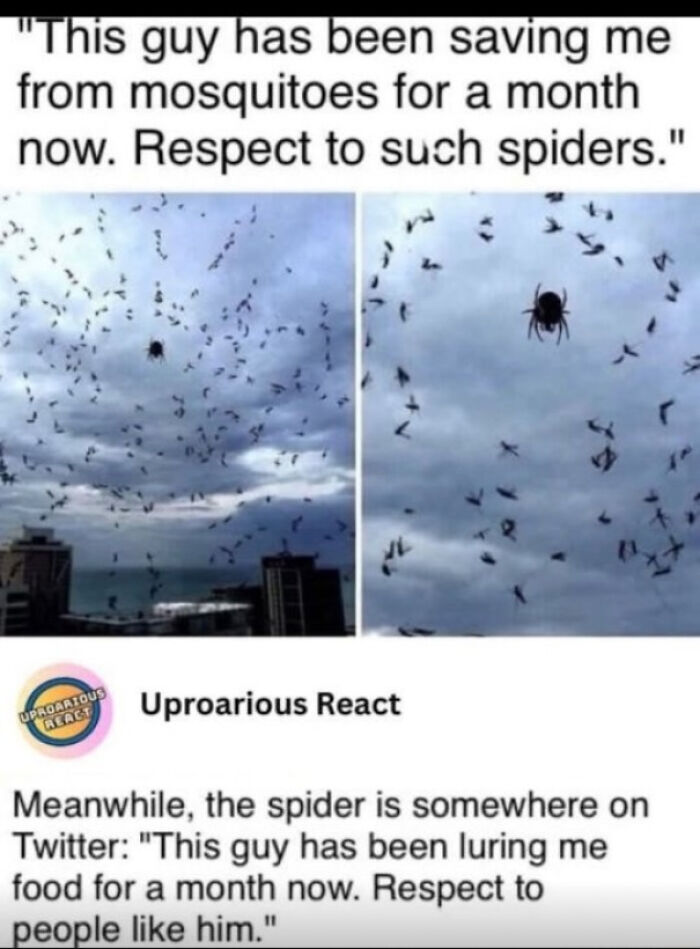 Mutual Respect Is Important