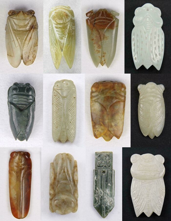 Collection of carved jade cicada artifacts representing ancient era discoveries