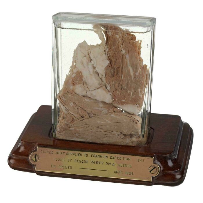 Tinned meat discovery from Franklin Expedition preserved in glass case