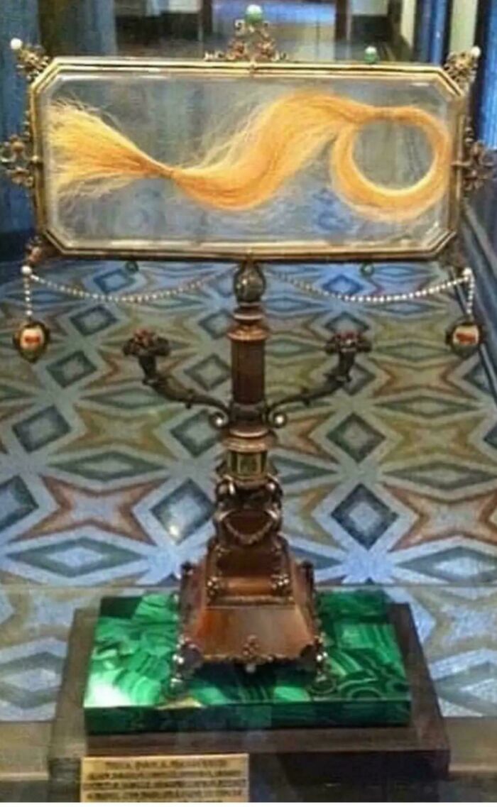 Historical preserved hair lock displayed in antique museum case