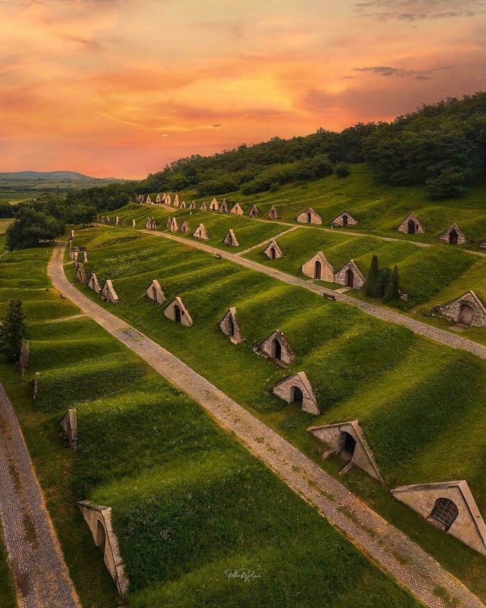 Aerial view of historic hillside wine cellars with grass roofs at sunset discovery