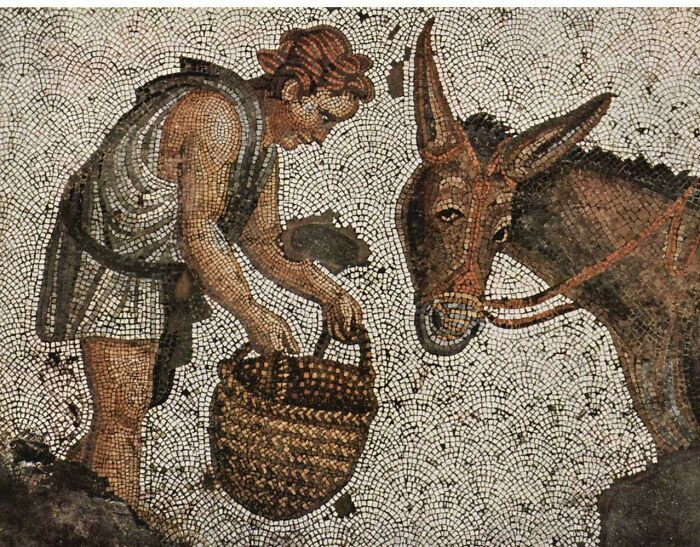 Ancient mosaic showing a man with a basket and a donkey scene discovery