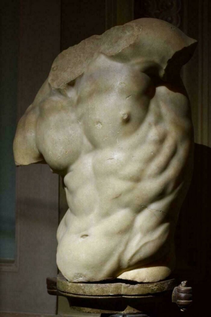 Classical sculpture torso showing muscular details discovery