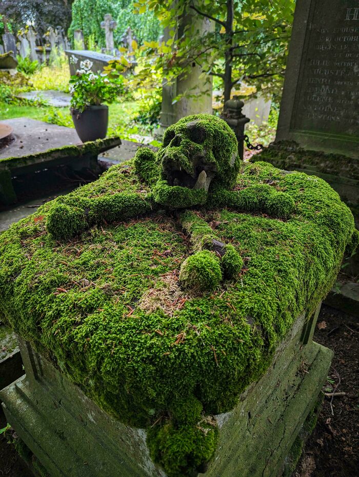 Moss-covered skeletal tomb sculpture from a different era