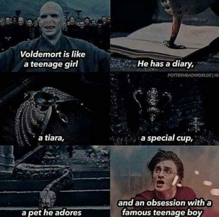 A meme comparing Voldemort to a teenage girl, highlighting a diary, tiara, cup, pet, and obsession. A post from Delusions of Adequacy.