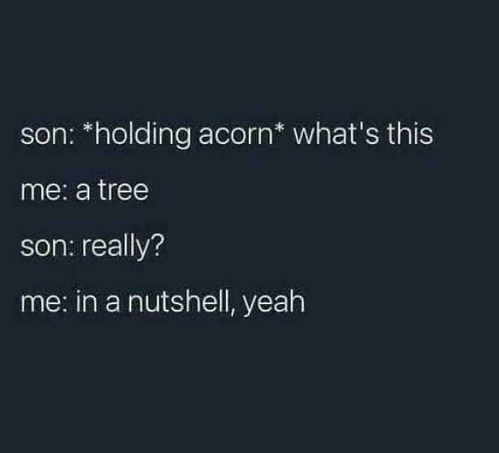 A meme with a conversation about an acorn and a tree. A humorous post from Delusions of Adequacy.