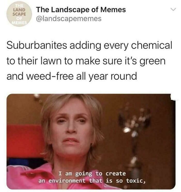 A meme from The Landscape of Memes about suburbanites and their lawns, showcasing delusions of adequacy.