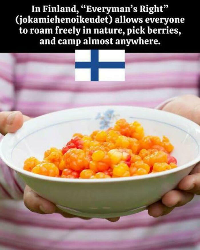 Finland's Everymans Right, allowing free roaming, berry picking, and camping, shared in online delusions of adequacy group.