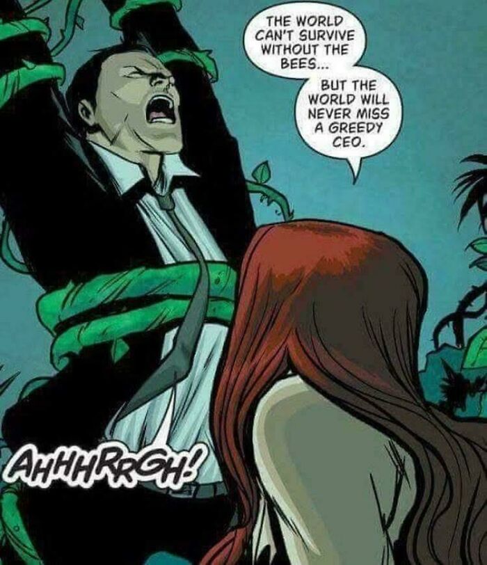 Comic panel showing Poison Ivy with a tied-up CEO, highlighting delusions of adequacy about corporate value.