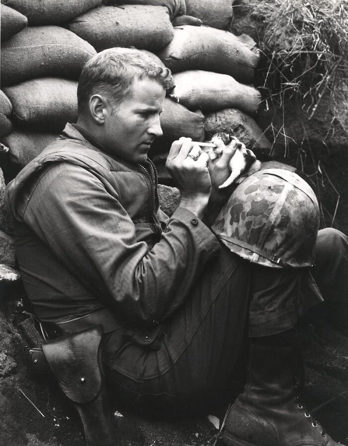 An emotional historical photo of a soldier in a trench with sandbags, holding and looking at a small animal.