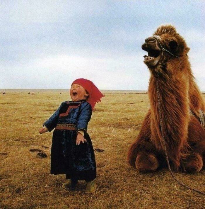 A child in traditional dress laughing with a camel in a field, among fascinating historical photos.