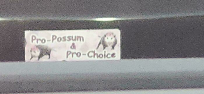 A wild bumper sticker with two possums in pink hats and the text Pro-Possum & Pro-Choice.