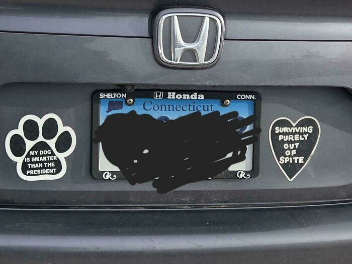 Two funny bumper stickers on a car. One reads My Dog Is Smarter Than The President, and the other Surviving Purely Out Of Spite.