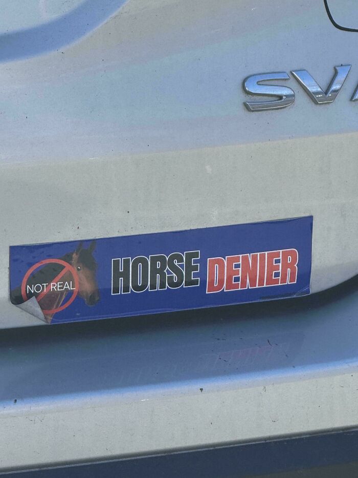 A funny bumper sticker on a car reads Horse Denier, with a horse image stamped not real.