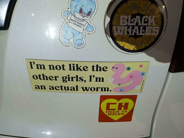 Funny bumper sticker that says I'm not like the other girls, I'm an actual worm, along with other stickers.