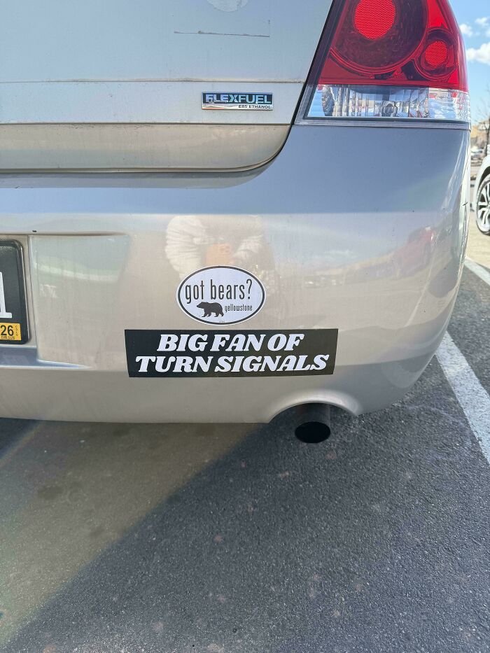 Two funny bumper stickers on a silver car: got bears? and BIG FAN OF TURN SIGNALS, catching drivers attention.
