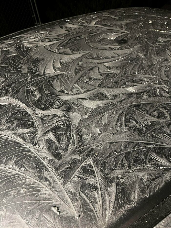 Is There A Name For This Kind Of Ice Forming? It’s Unbelievable! My Whole Car Looked Like This