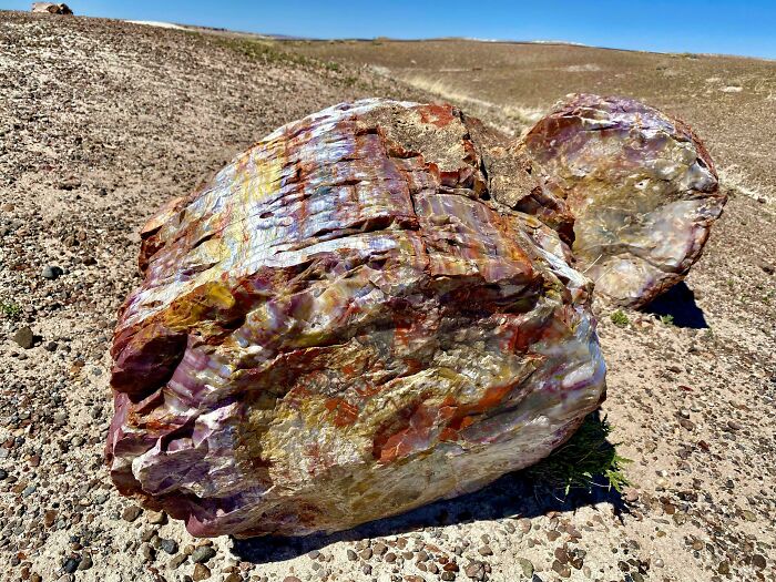 Colorful Petrified Logs In Arizona - When T. Rex Began Roaming The Earth This Was Already Over 150 Million Years Old According To Estimates