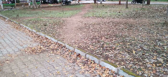 An Intersection Of Desire Paths Seen In Mysuru Uni