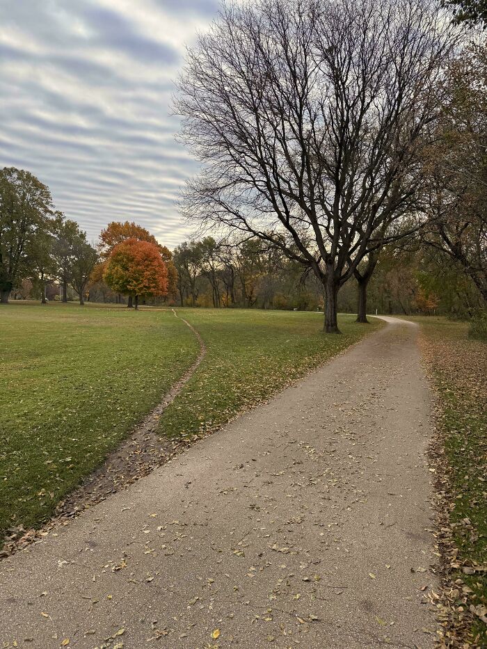 Does A Cyclists’ Path Count T?