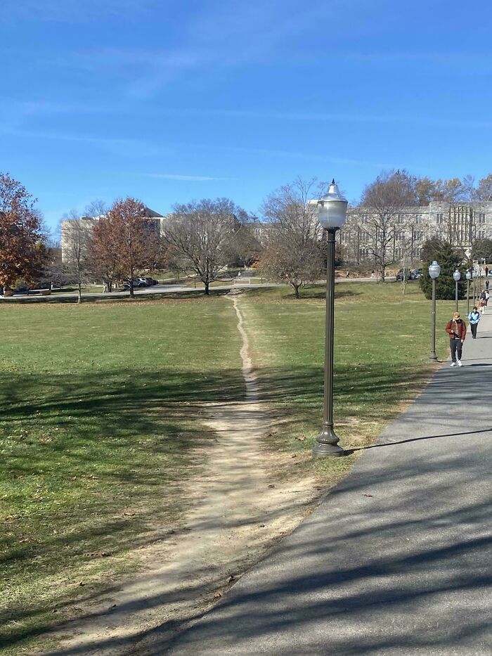 Loooong Desire Path