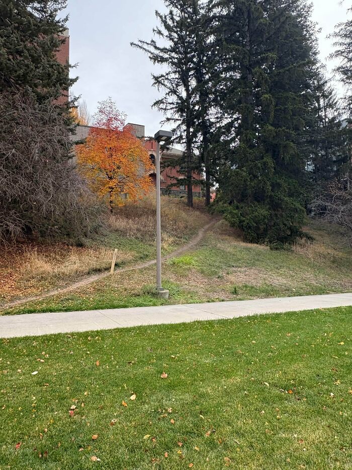 Sometimes You Gotta Hike To Class
