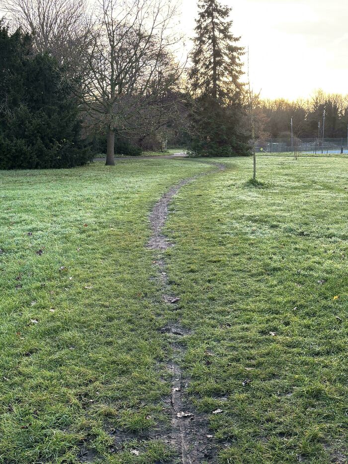 An Early Morning Desire Path