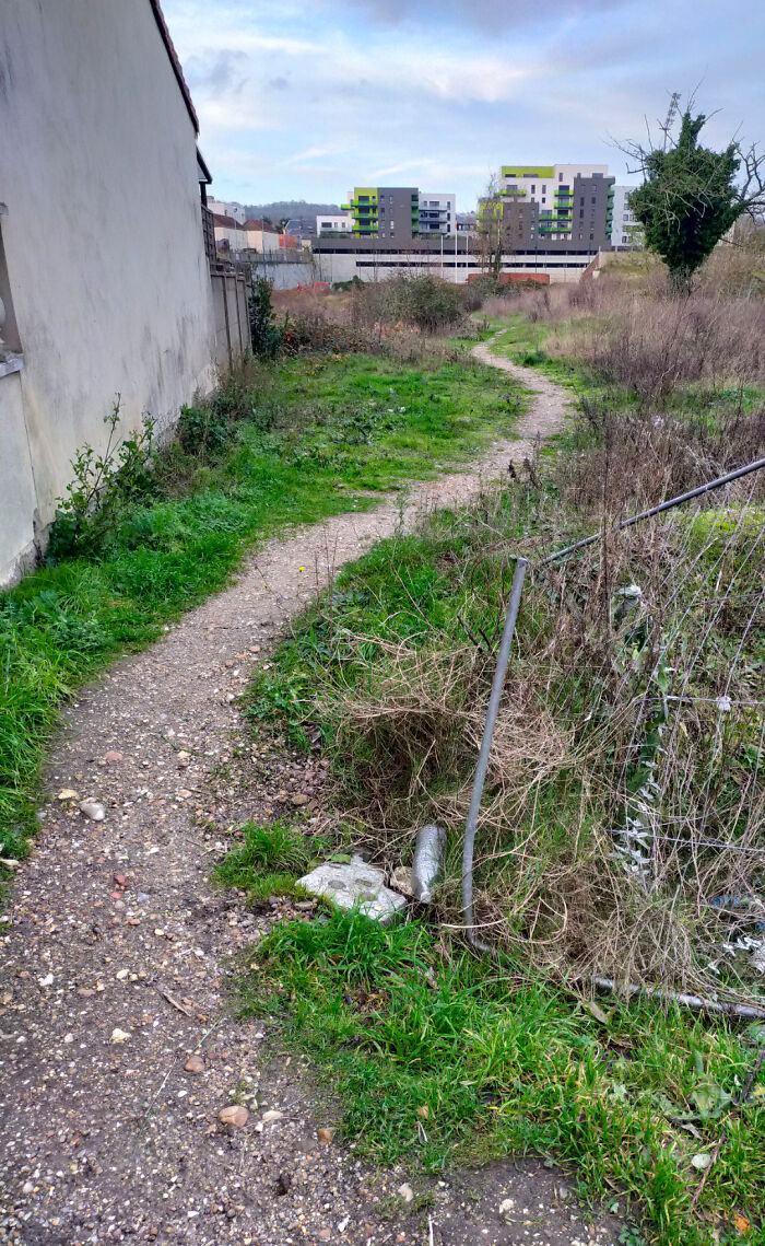 Desire Path To Nowhere