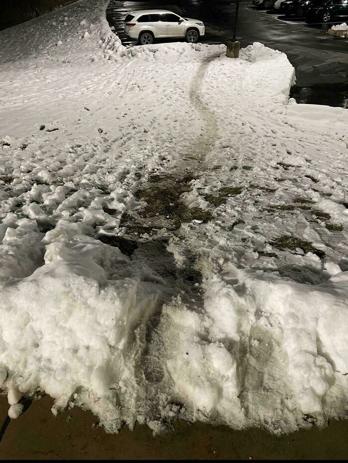 Desire Path At My University Persists Despite The Snow