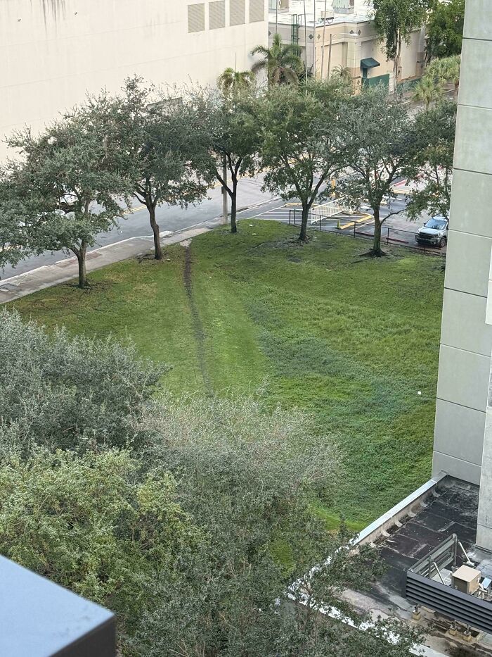 Spotted From Above!