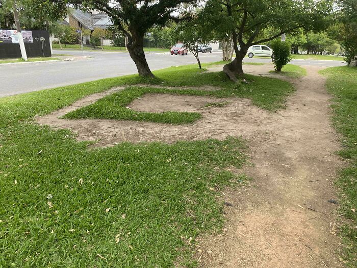 Don't Know If It Counts As Desire Path, But It's Because A Weekly Fruit Stand