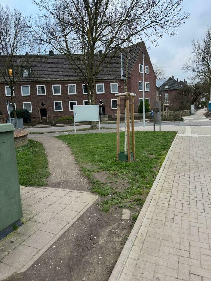 Short-Cutting The School Way