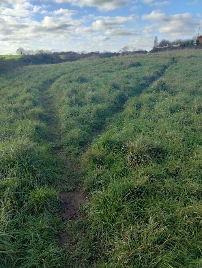 Dual Desire Path
