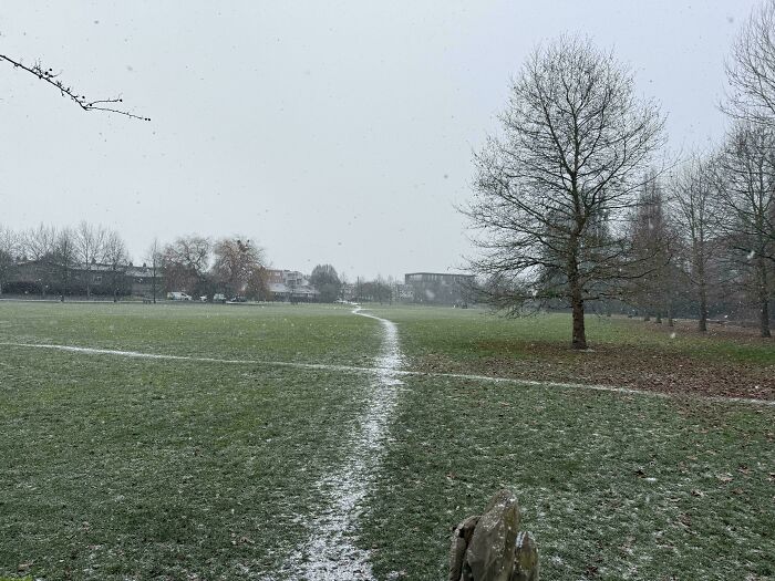 Snow Revealing My Greatest Desires