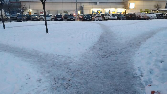 Winter Desire Paths
