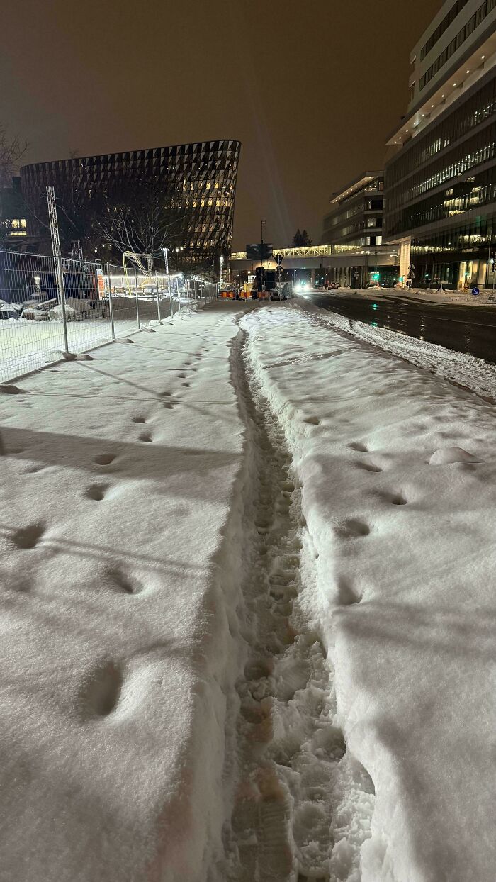 Temporary Desire Path